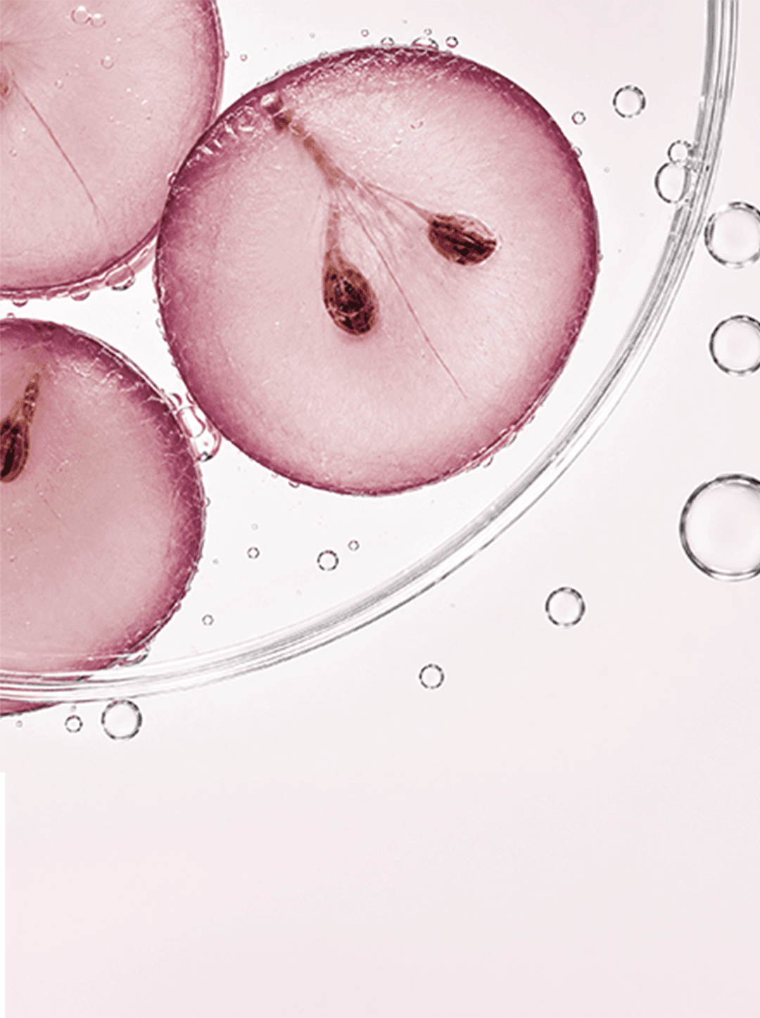 Grape Callus Culture Extract