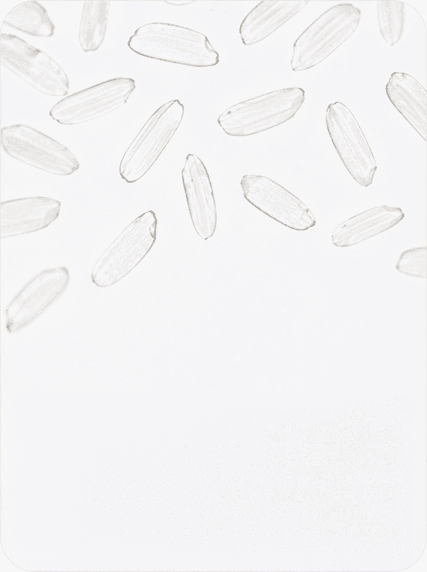 Rice Starch Extract